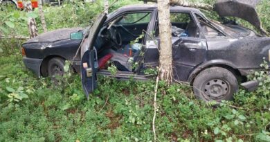 kierująca Audi uderzyła w drzewo