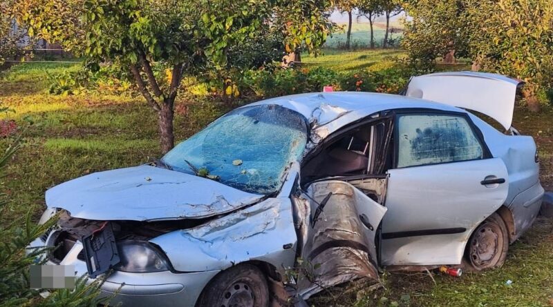 Śmiertelny wypadek w miejscowości Siedliszcze. Nie żyje 33-letni kierowca