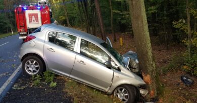 49-letni kierowca Opla uderzył w drzewo