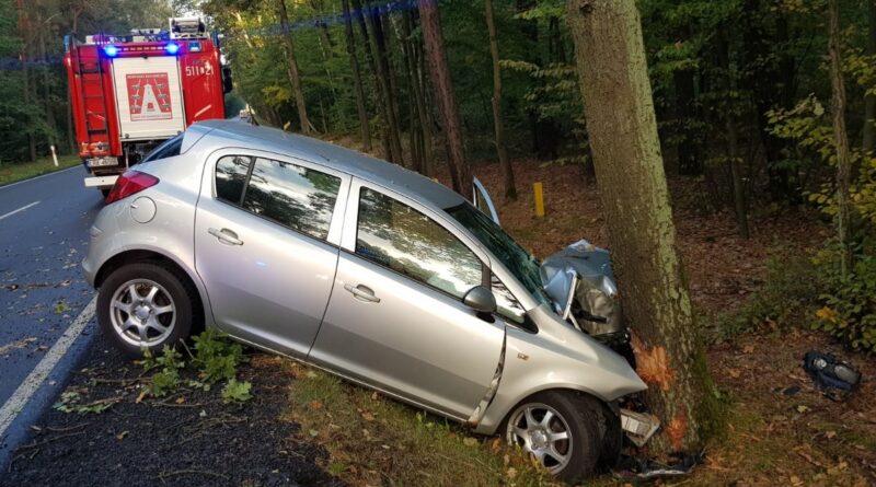49-letni kierowca Opla uderzył w drzewo