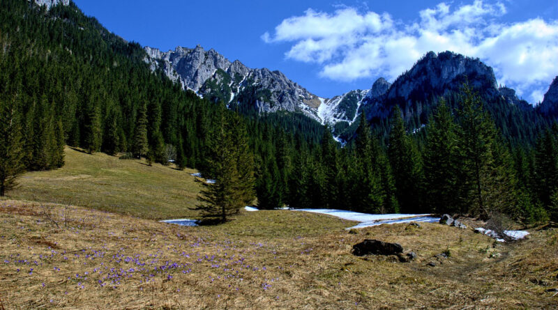 Kościelisko domek