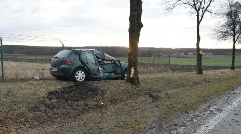 Sielec - Volkswagen uderzył w drzewo