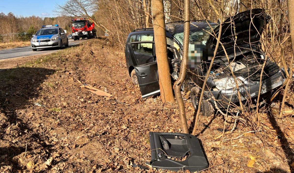 Kawęczyn. Stracił panowanie nad pojazdem i uderzył w drzewa. Miał 0,5 promila