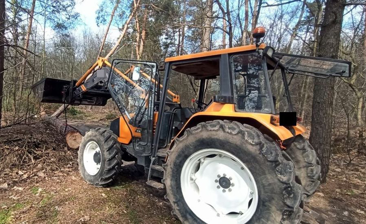 Nowa Rokitnia. Tragedia podczas wycinki drzewa