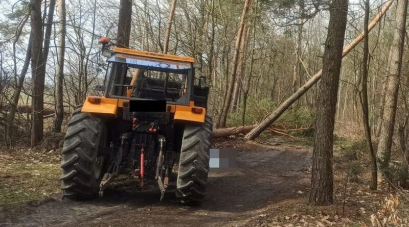 Nowa Rokitnia. Tragedia podczas wycinki drzewa