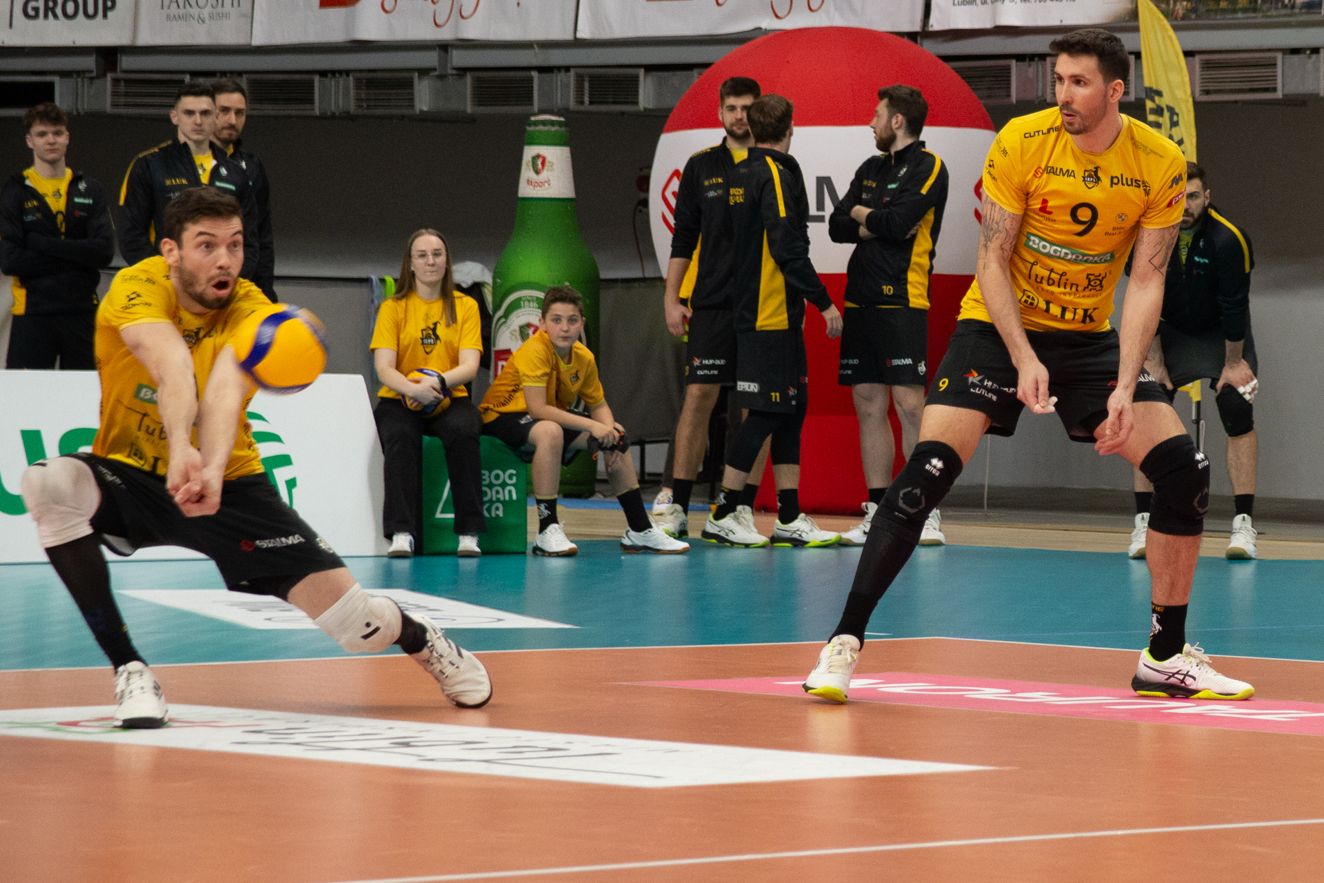 Bogdanka LUK Lublin - Trefl Gdańsk 