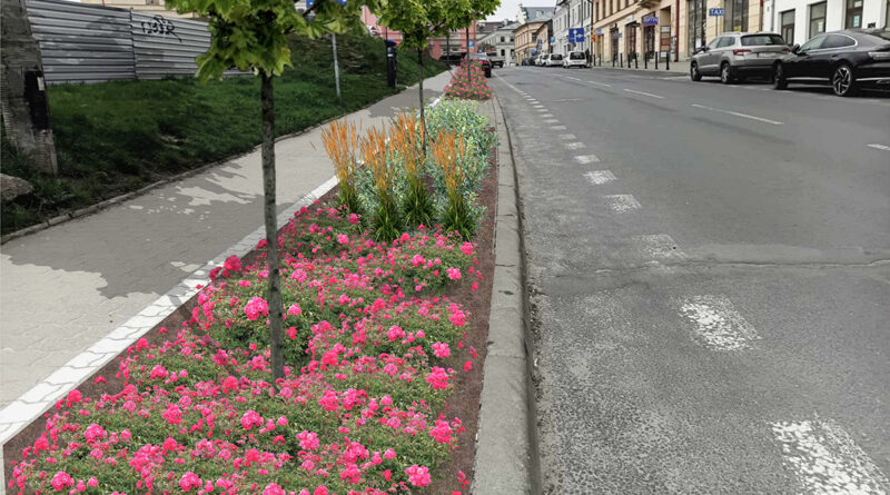 W centrum miasta pojawi się więcej zieleni. Zmiany czekają również kierowców