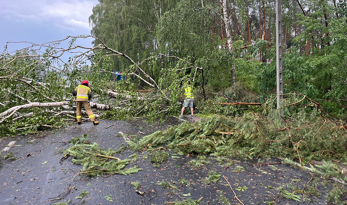 Nawałnica przeszła przez Lubelszczyznę. Strażacy interweniowali 124 razy