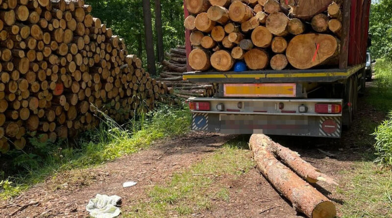 Brzozowica Duża. Nieszczęśliwy wypadek przy załadunku drzewa