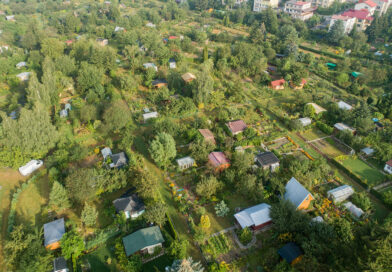 Lubelskie ogrody działkowe z miejskim wsparciem