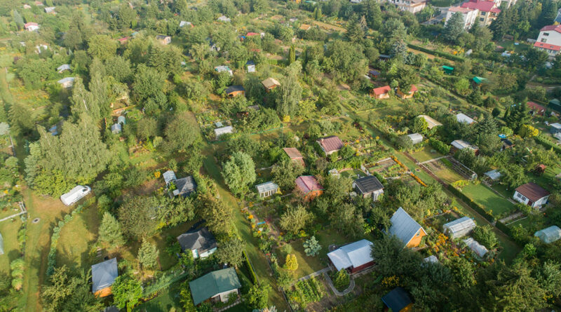 Lubelskie ogrody działkowe z miejskim wsparciem