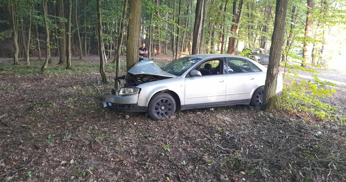 Pijany 31-latek wsiadł za kierownicę i rozbił się na drzewie. Zapomniał, że nie ma prawa jazdy