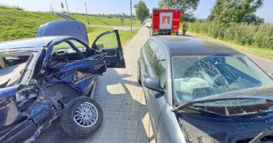 Zderzenie samochodów osobowych w Kraśniku. 6 osób, w tym dwoje dzieci, trafiło do szpitala