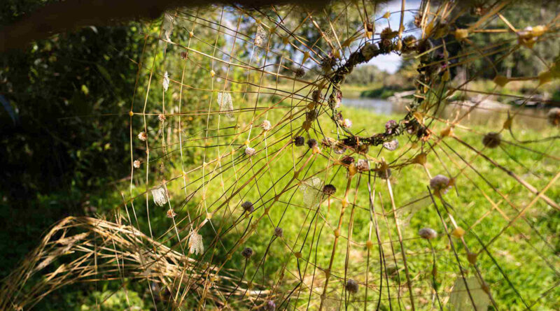 Rusza nabór do III edycji projektu Landart na granicy