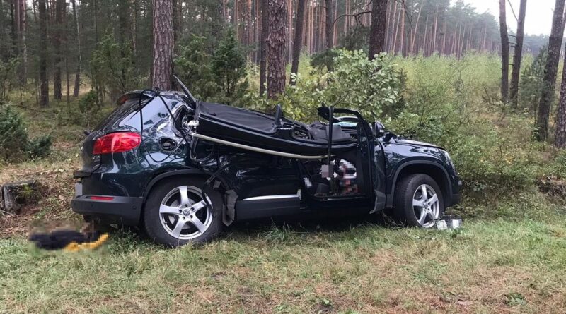 Borowina. Drzewo spadło na jadący samochód. Zakleszczonego w aucie kierowcę uwolnili strażacy