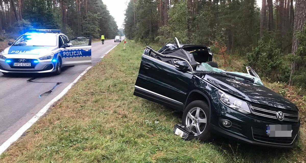 Borowina. Drzewo spadło na jadący samochód. 