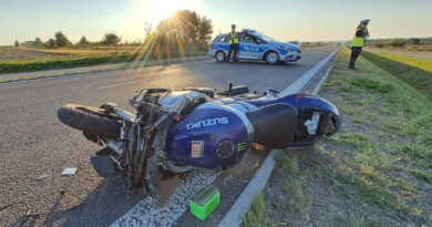 Tragiczne zderzenie z łosiem na obwodnicy Kraśnika. Nie żyje 38-letni motocyklista