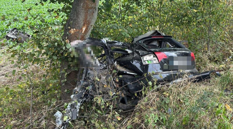 Tragiczny wypadek na trasie Tarnawatka-Werechanie.