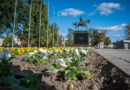 Wrzosy i kapusty wracają na lubelskie place