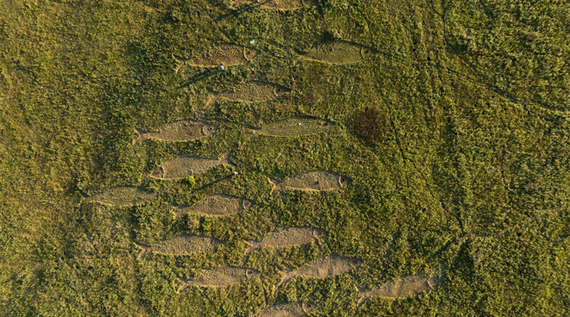 Sztuka i natura na Zamku w Janowcu