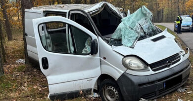 18-latek stracił panowanie nad dostawczakiem i uderzył w drzewo. Trafił do szpitala