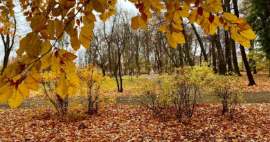 Park Bronowicki przejdzie metamorfozę. Miasto otrzymało 7 mln zł unijnej dotacji