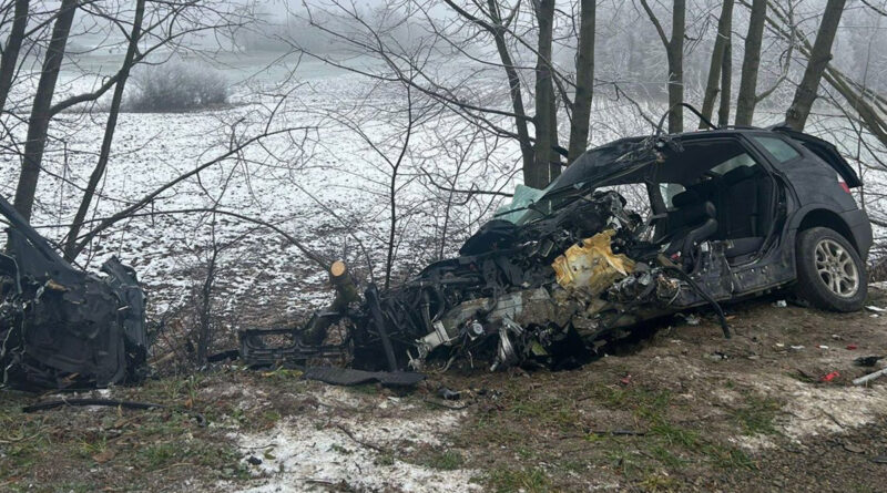 Rożki Kolonia: BMW uderzyło w drzewo