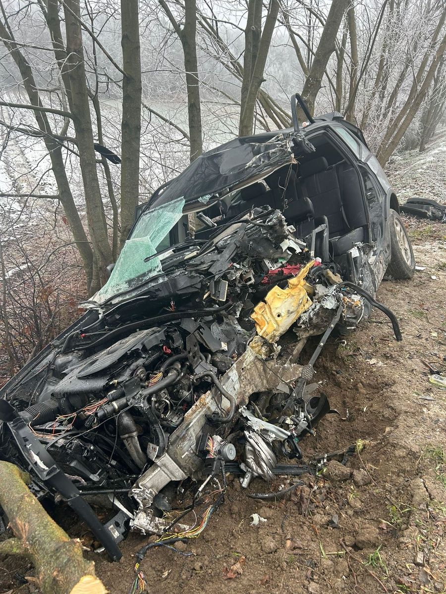 Rożki Kolonia: BMW uderzyło w drzewo