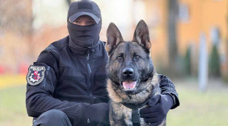 Szeregi lubelskiej policji zasilił funkcjonariusz „Jack”. Specjalizuje się w poszukiwaniu ludzkich zwłok