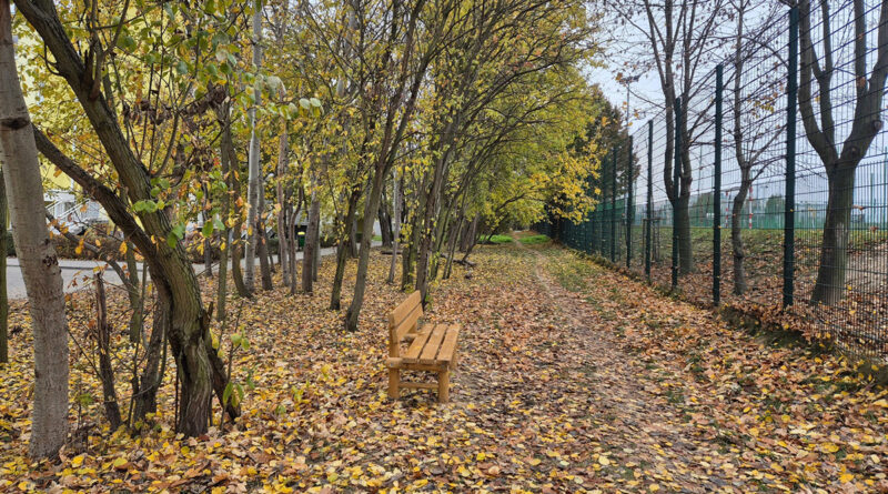 W koronach drzew. Rusza kolejna edycja Zielonego Budżetu