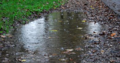 Miasto chce zatrzymać deszczówkę tam, gdzie dziś stoją kałuże