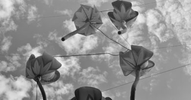 Widzę, czuję, fotografuję. Wystawa młodych twórców w MDK „Pod Akacją”