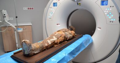 Sekrety egipskiej mumii ujawnione w Lublinie. Pomogła sztuczna inteligencja [FOTO]