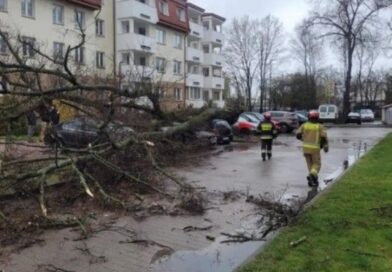 Niespokojna noc na Lubelszczyźnie. Setki interwencji strażaków po burzach i silnym wietrze