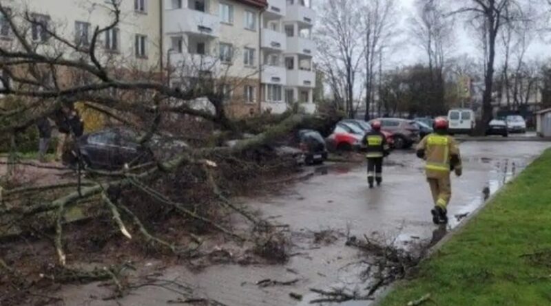 Niespokojna noc na Lubelszczyźnie. Setki interwencji strażaków po burzach i silnym wietrze