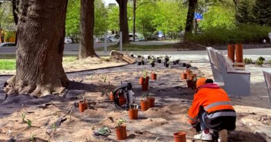 Miasto zmienia się na wiosnę. Skwery, park motoryczny i nowe strefy relaksu