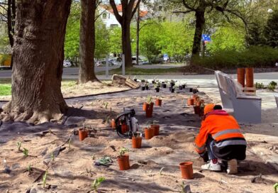 Miasto zmienia się na wiosnę. Skwery, park motoryczny i nowe strefy relaksu