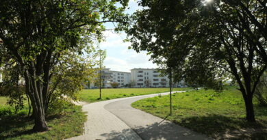 Nowe alejki i oświetlenie w Parku Centralnym na Felinie. Miasto szuka wykonawcy