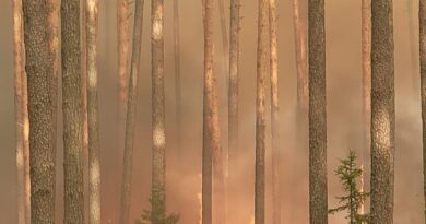Trwa walka z pożarem Puszczy Solskiej. W akcji uczestniczy ponad 450 strażaków