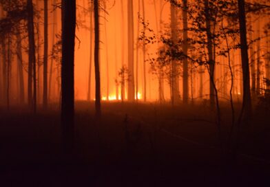 Pożar lasu w woj. lubelskim wymyka się spod kontroli. Setki strażaków i śmigłowce walczą z żywiołem
