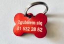 Miasto rozdaje bezpłatne adresatki dla psów. Pomogą, gdy pupil się zgubi