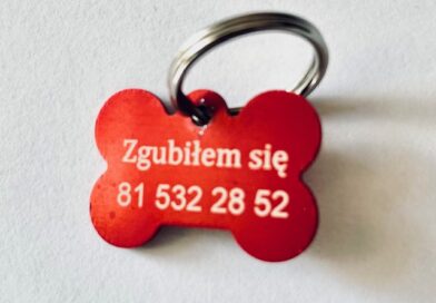 Miasto rozdaje bezpłatne adresatki dla psów. Pomogą, gdy pupil się zgubi