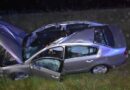 Łoś wbiegł na ekspresówkę pod Lublinem. Volkswagen wylądował w rowie