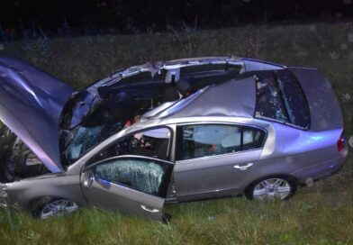 Łoś wbiegł na ekspresówkę pod Lublinem. Volkswagen wylądował w rowie